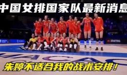 中国队最新爆料新闻,最新爆料揭秘备战细节与备战成果